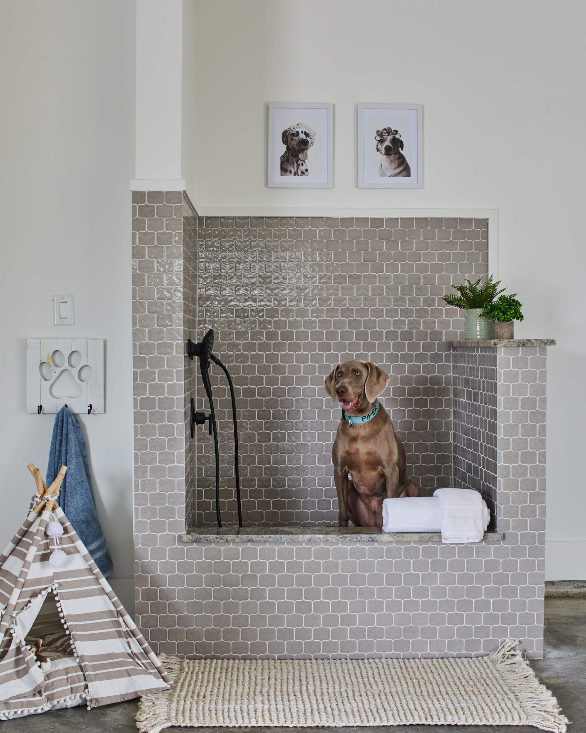 Kurk Homes Southern Living Showcase Home Brazos Bend Home dog shower